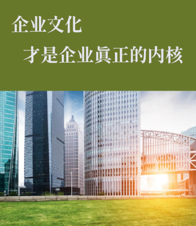 上海忆涵源实业发展有限公司项目配套材料供货方案设计与成本优化
